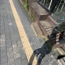 치유요가 | #2025 부산 해양치유프로그램 해변 요가 후기
