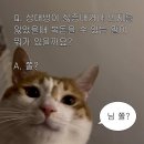 카페모니카 - 서산시 남문1로 48 | 카페모니카