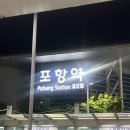 J&J대대클럽 | 포항 셔틀버스 울릉도 크루즈 탑승 준비물 4인실 선상클럽 후기