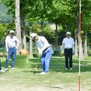 파크골프 이미지