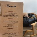 해피 펫 미 네이버블로그