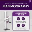 전산부인과의원 네이버블로그