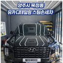 로열리스팀세차 | 양주 옥정동 세차장 팰리세이드 프리미엄급 세미 디테일링 봄맞이 이벤트 후기
