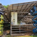 광선축사 이미지