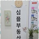 세종부동산중개 이미지