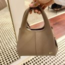 o-19 | "요즘 가장 핫한" 코치 라나백 19 미니 숄더백 가방 직구 후기 (+최저가링크O)