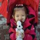 청솔어린이집 이미지