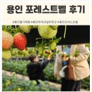 현기농장 | 🍓 용인 실내가볼만한곳 추천! 동물체험과 딸기체험농장의 끝판왕 '포레스트벨'