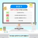 오사리 태양광발전소 이미지