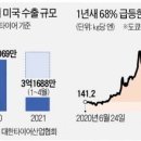 타이어 3사 '가시밭길'…고무값 상승·물류난·美 반덤핑 관세까지 이미지