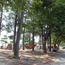 상주은모래비치캠핑장 이미지