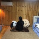 어멍민박 | 제주 한달살기 독채민박 김녕한달 밖거리 자 본 후기