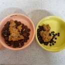 그랜마펫푸드 이미지