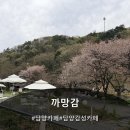 추월산로 | 담양 카페 추천 재방문을 부르는 카페 까망감 솔직 후기