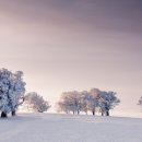(뉴에이지-크리스마스) [Windham Hill - A Winter's Solstice III] Philip Aaberg - Earth Abides 이미지