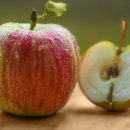 선의요양병원 이미지