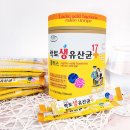 에버그린 이미지