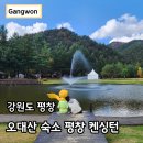 애니멀 패밀리 | 켄싱턴 호텔 평창 맛집 사우나 패밀리룸 오대산 숙소 후기