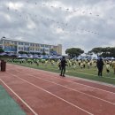 서귀포초등학교 | [제주도 초등학교 운동회] 서귀포초등학교 어울림마당(운동회) 진행 후기