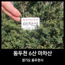 경기북부 가볼 만한 동두천 6산 || 나홀로 가을 즐기기 좋은 마차산