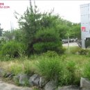영등동-34 이미지