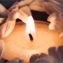 대명장례협동조합 이미지