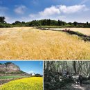 북부권 코스 이미지