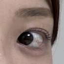 디오브공인중개사사무소 | [동탄 속눈썹펌 추천] 자연스럽게 예뻐진 누네하우스 속눈썹펌 후기😌✨