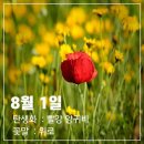 화요일 Daum카페