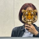 25-1학기브리핑
