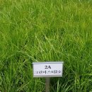 그린축산2 이미지