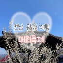 동광로1길 65-1 | [전남 광양] 광양매화축제 셔틀부터 먹거리까지 꿀팁 방문후기