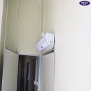 디에스코리아 이미지