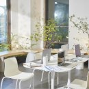 지금부동산중개법인주식회사 이미지