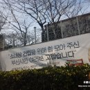 미화당이불 - 북구 구포시장3길 7 | 미화당이불
