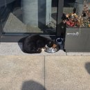 티카페하동 이미지