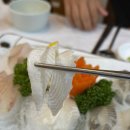 부산 해운대 회 맛집 파파횟집 현지인 추천
