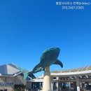 푸른행정사사무소 이미지