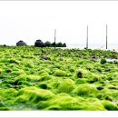 바다스토리리조트 이미지