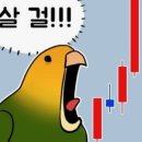 주식회사 영원글로벌 | [도서 후기] 미래에 달러는 더이상 기축통화가 아니다 코인 필수도서▶ 스테이블코인 : 머니리셋