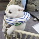 그릿 크로스핏 | 운동, 나만의 속도로 탐색하기: 그릿 크로스핏 일산점
