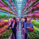 재식농장 | 네토그린 스마트팜: 부업 후기부터 채용까지 완벽 가이드