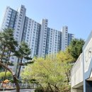 밤꽃마을뜨란채 공인중개사사무소 | 율전동 뜨란채공인중개사사무소 │ 밤꽃마을 뜨란채를 오래 본 사람만 아는 이야기
