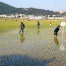 계선농장 이미지