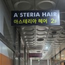 드림빌딩 | [ 부천시청역 미용실 ] 수분 가득, 윤기나는 클리닉 맛집 아스테리아 헤어 소개합니다.