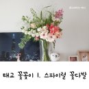 하루화