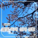 나루역사거리현대약국 | 영등포 여의나루역 여의도 봄꽃축제 2025 기본 정보 / 벚꽃 개화 상황