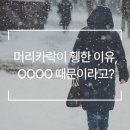 웰킨 청량리점