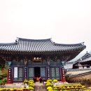 대흥사 이미지