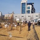 희망나무심기1 이미지